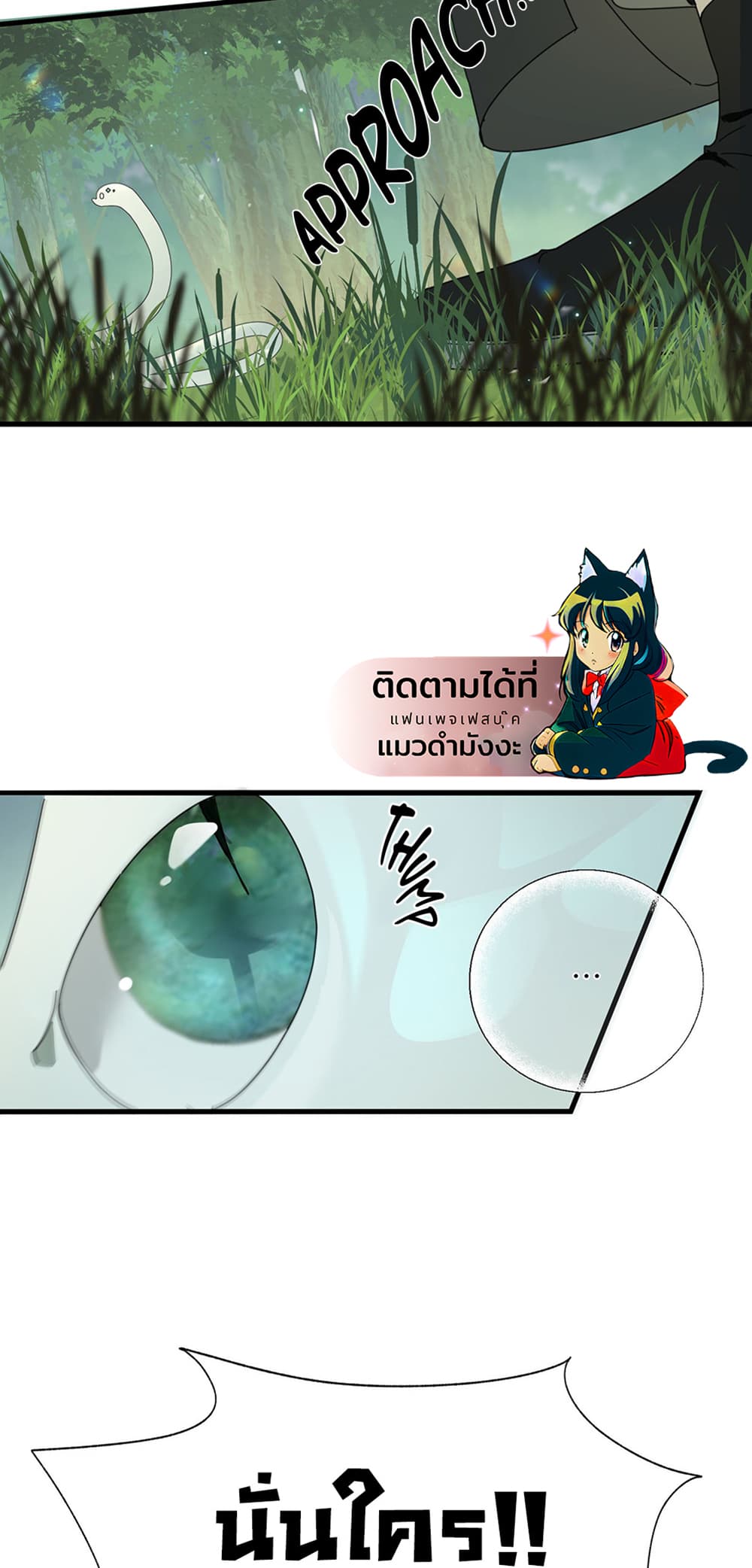 0016.jpg