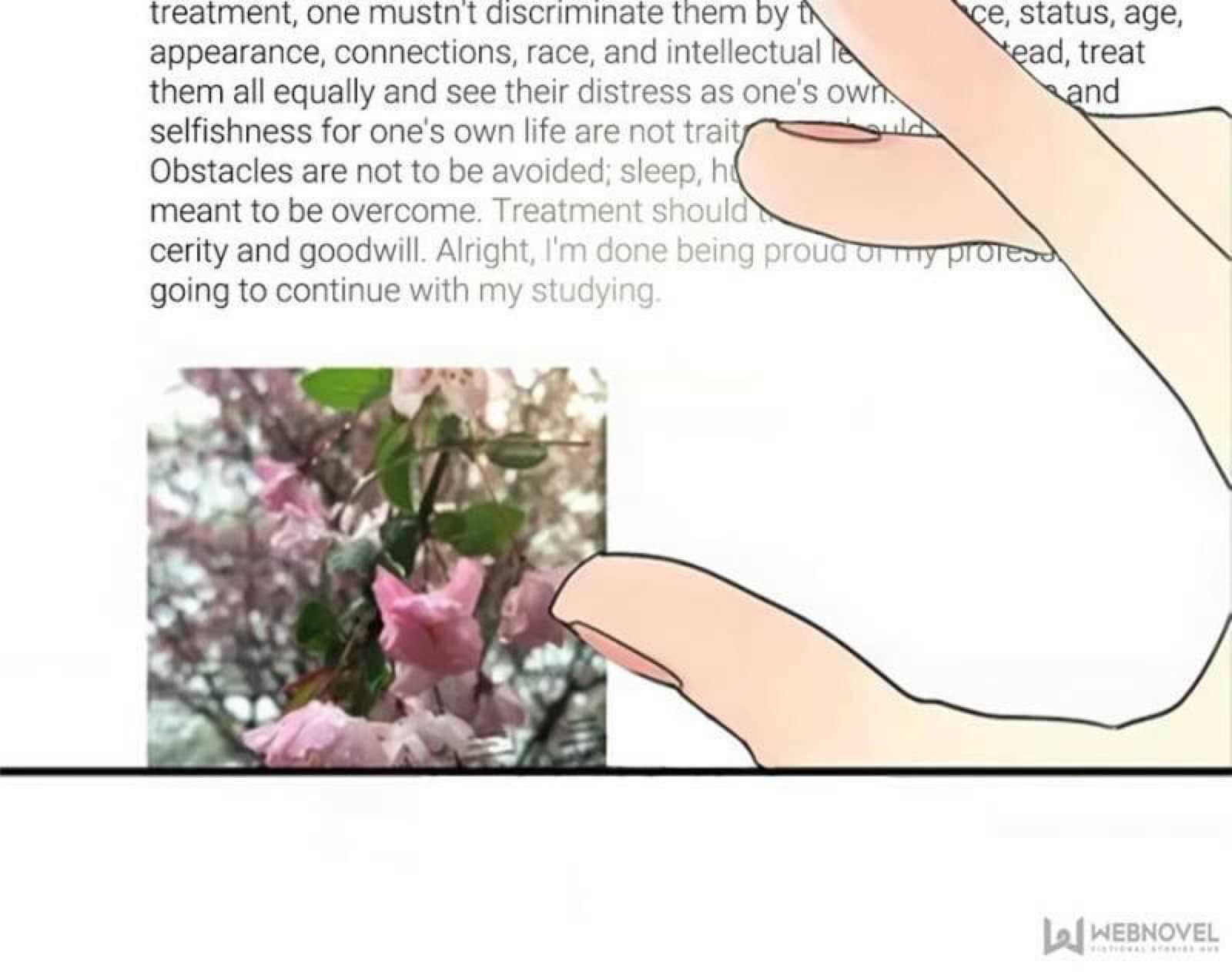 100191265.jpg