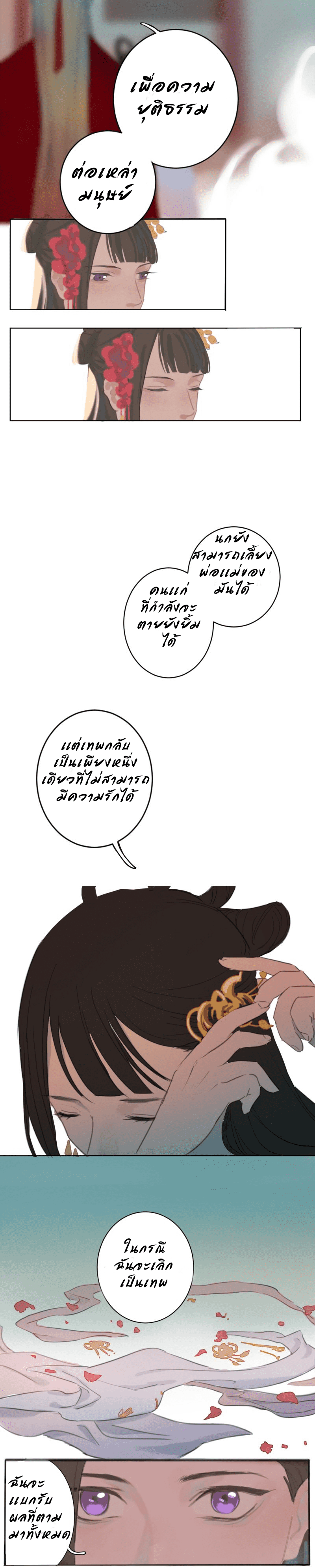 5_optimized.png