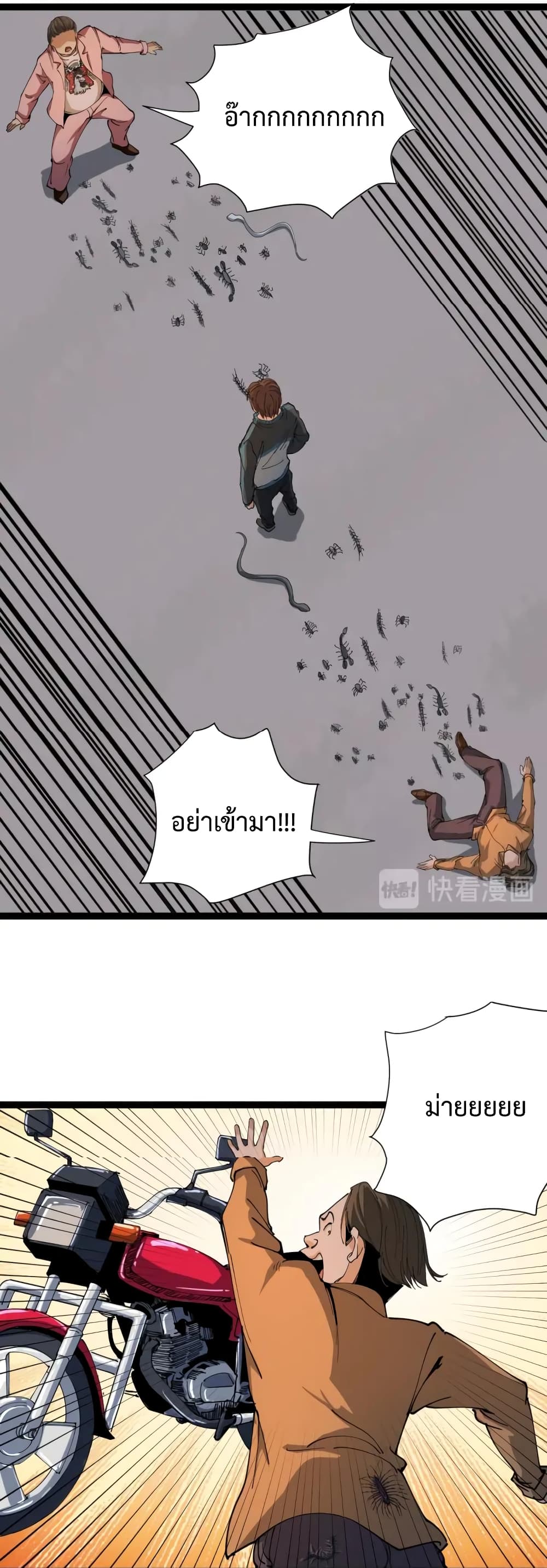 201733953.jpg