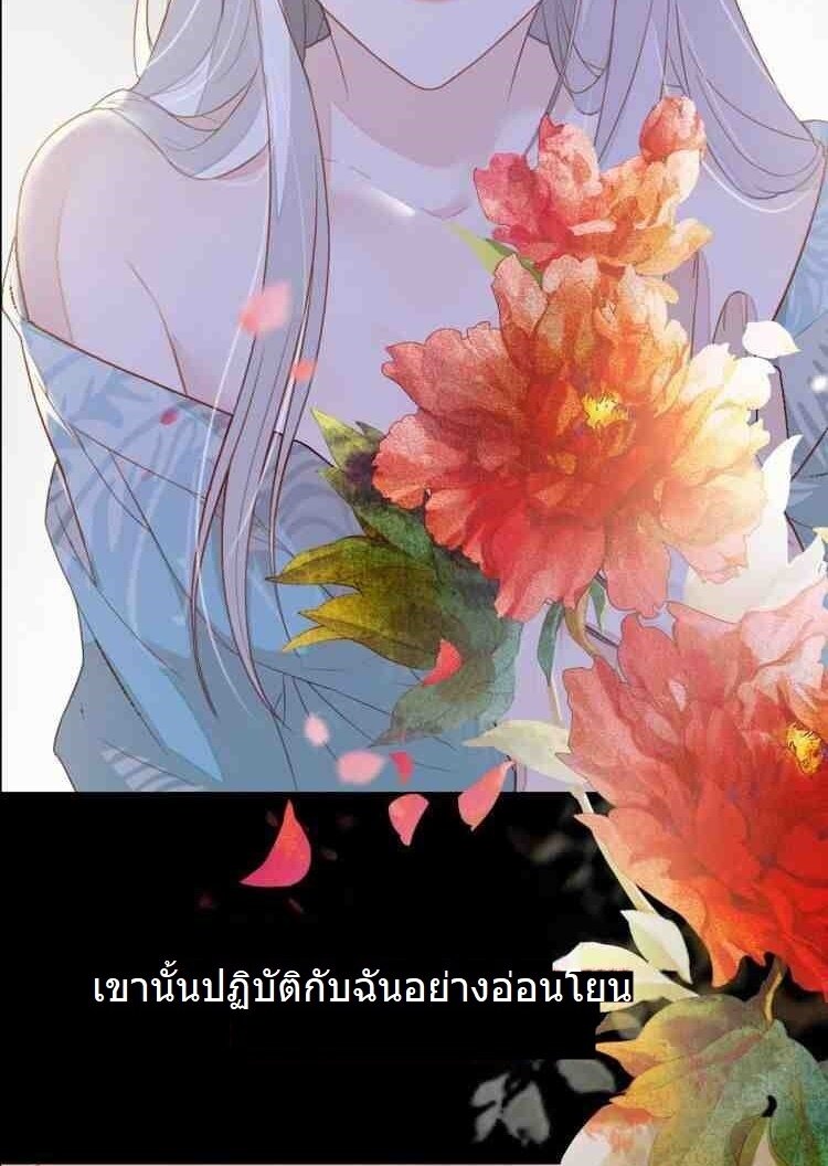 100373064.jpg