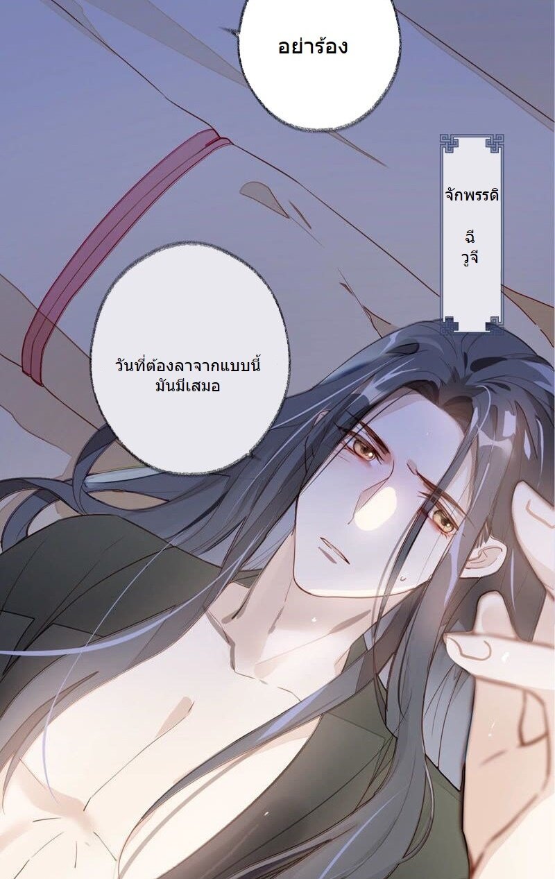 100376105.jpg