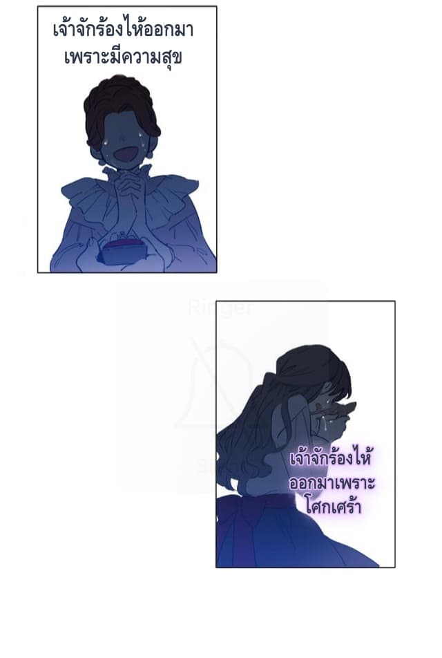 101463584.jpg