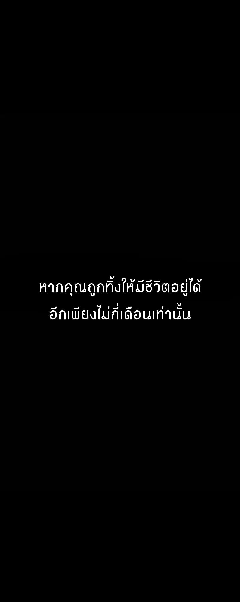 100481242.jpg