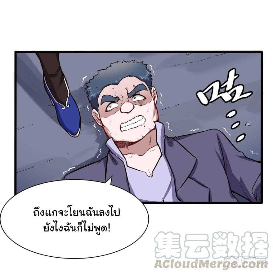 100233739.jpg