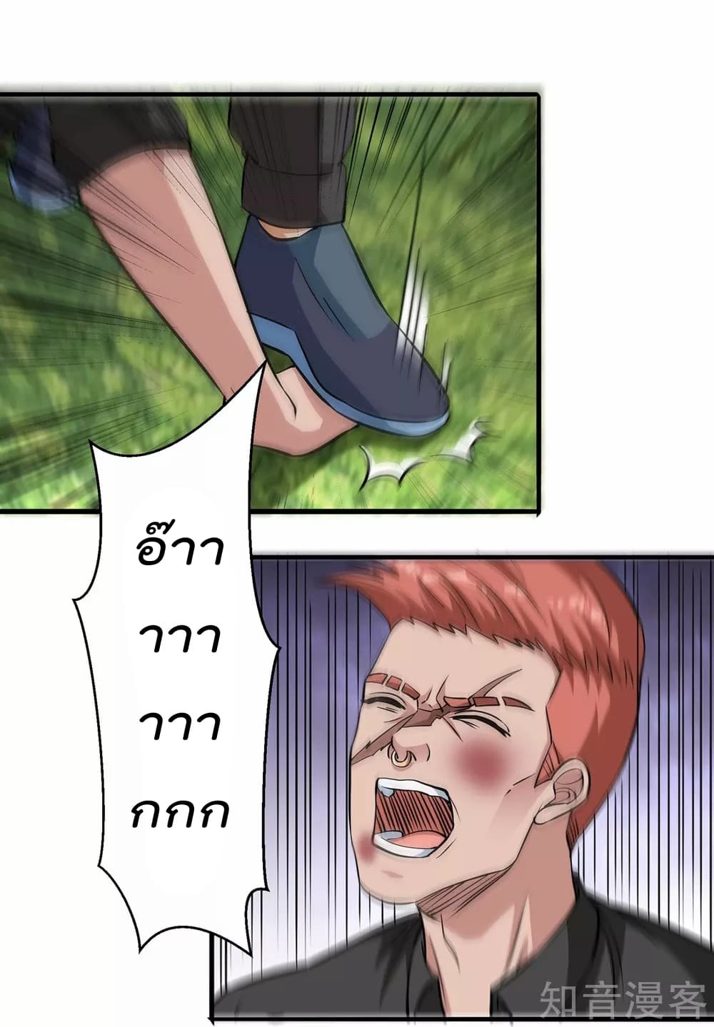 100369495.jpg