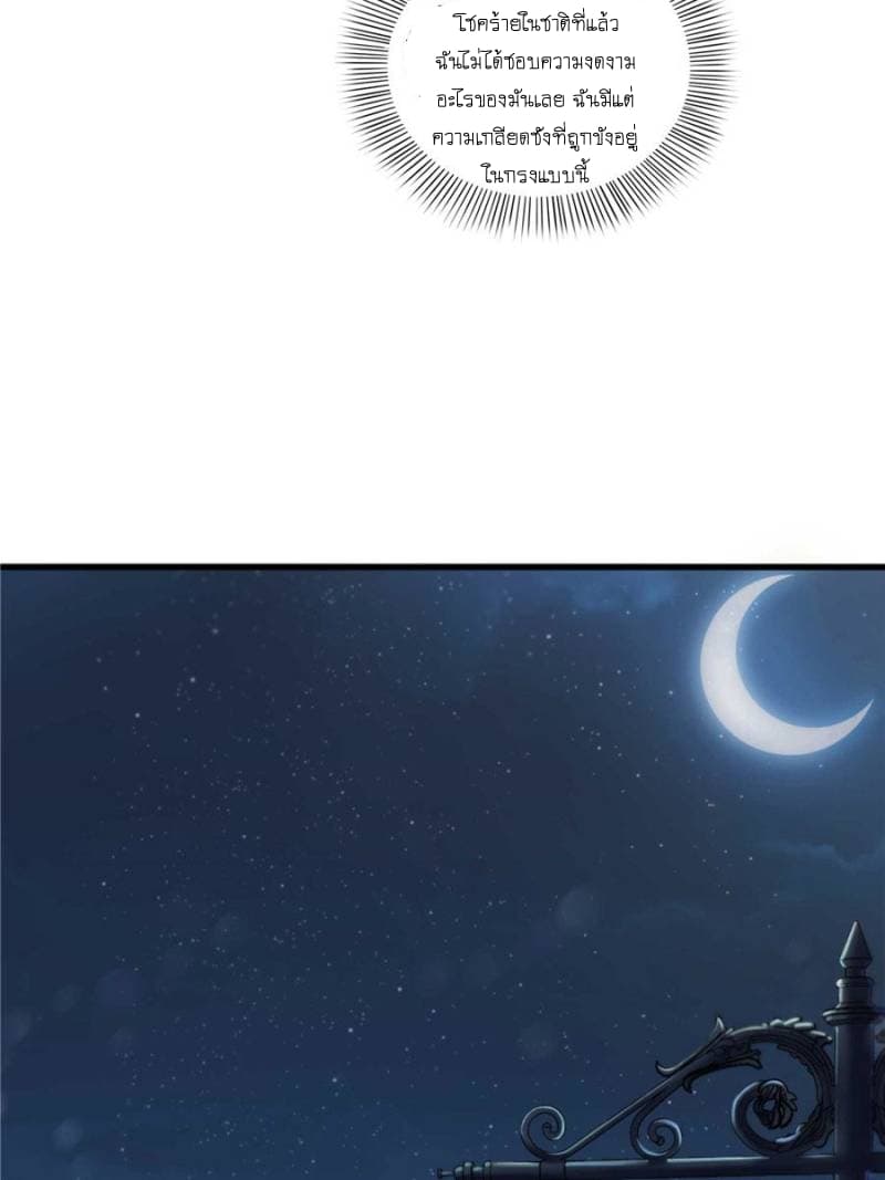 100117484.jpg