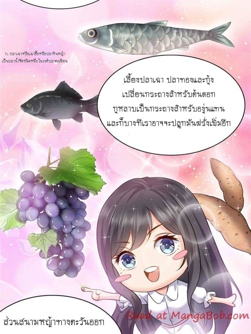 100132753.jpg