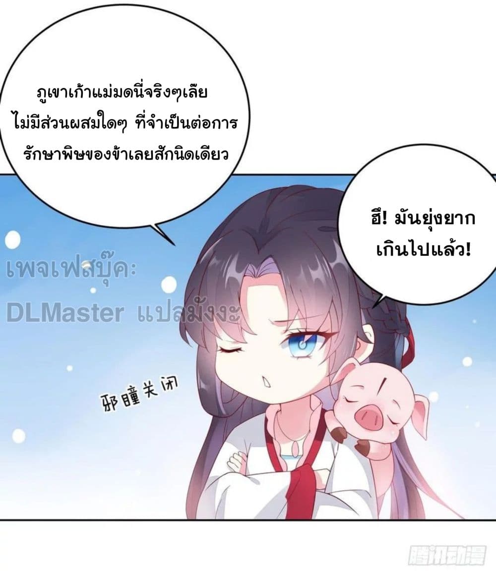 100013090.jpg