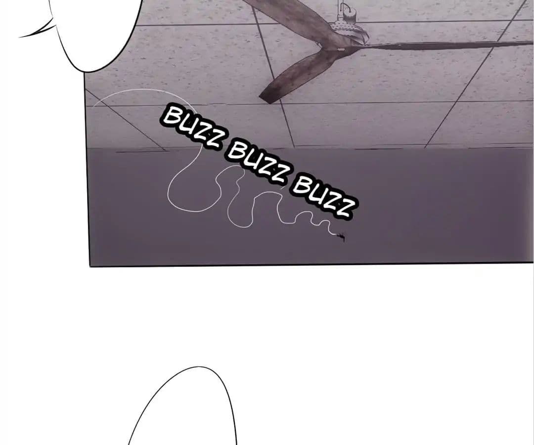 100270591.jpg