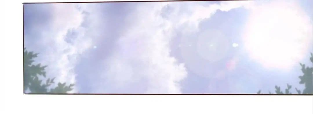 100273375.jpg