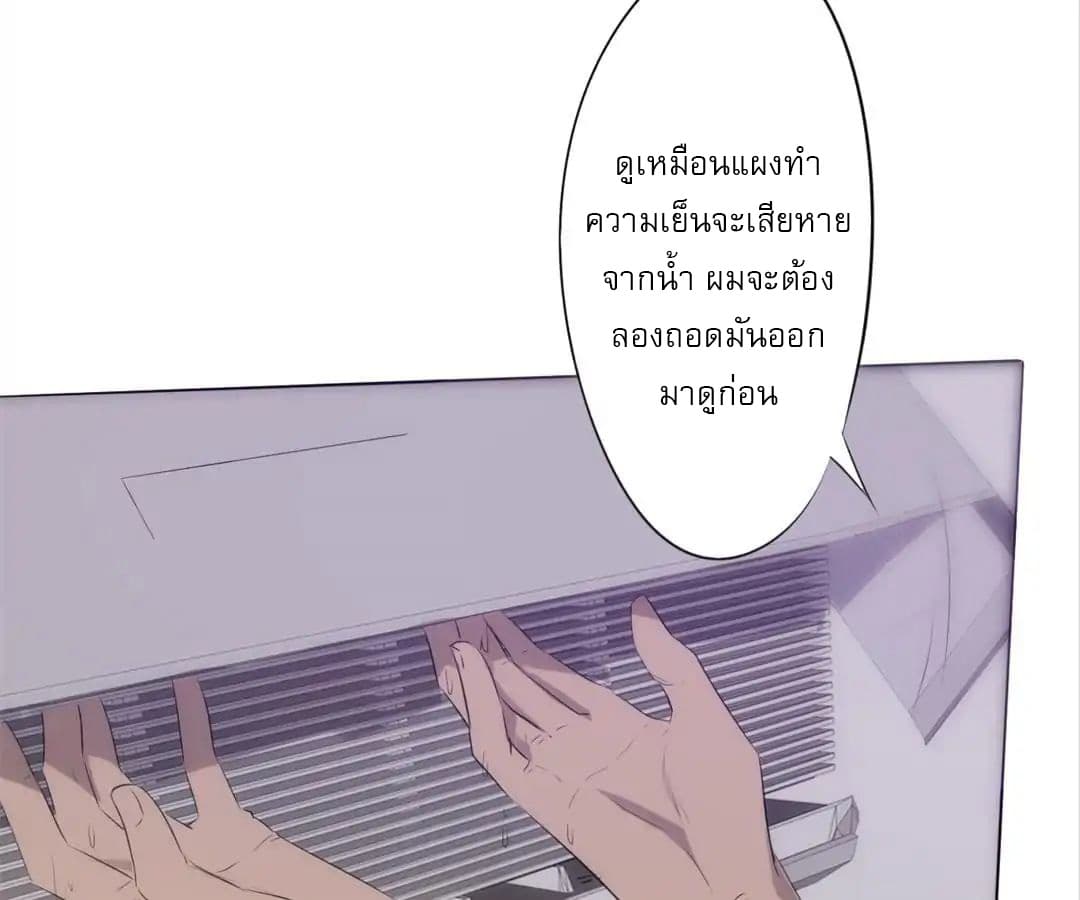 100273919.jpg