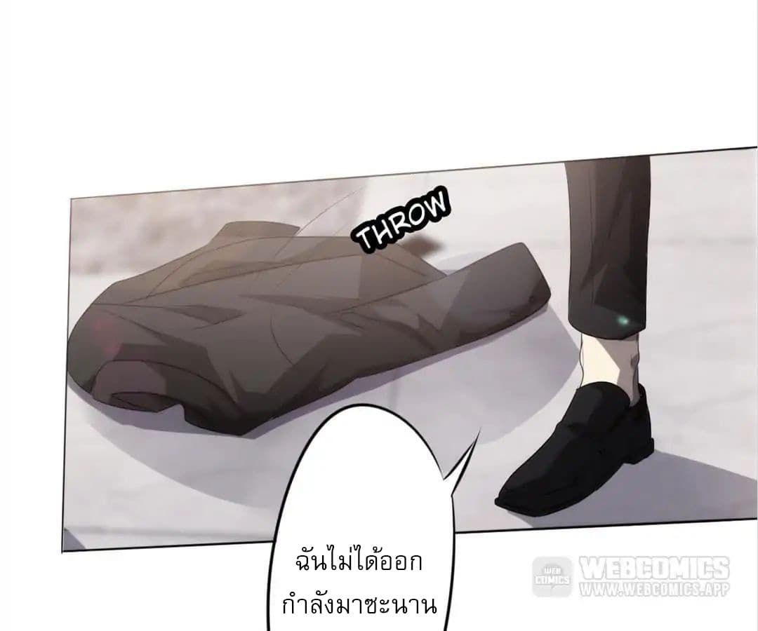 100278561.jpg