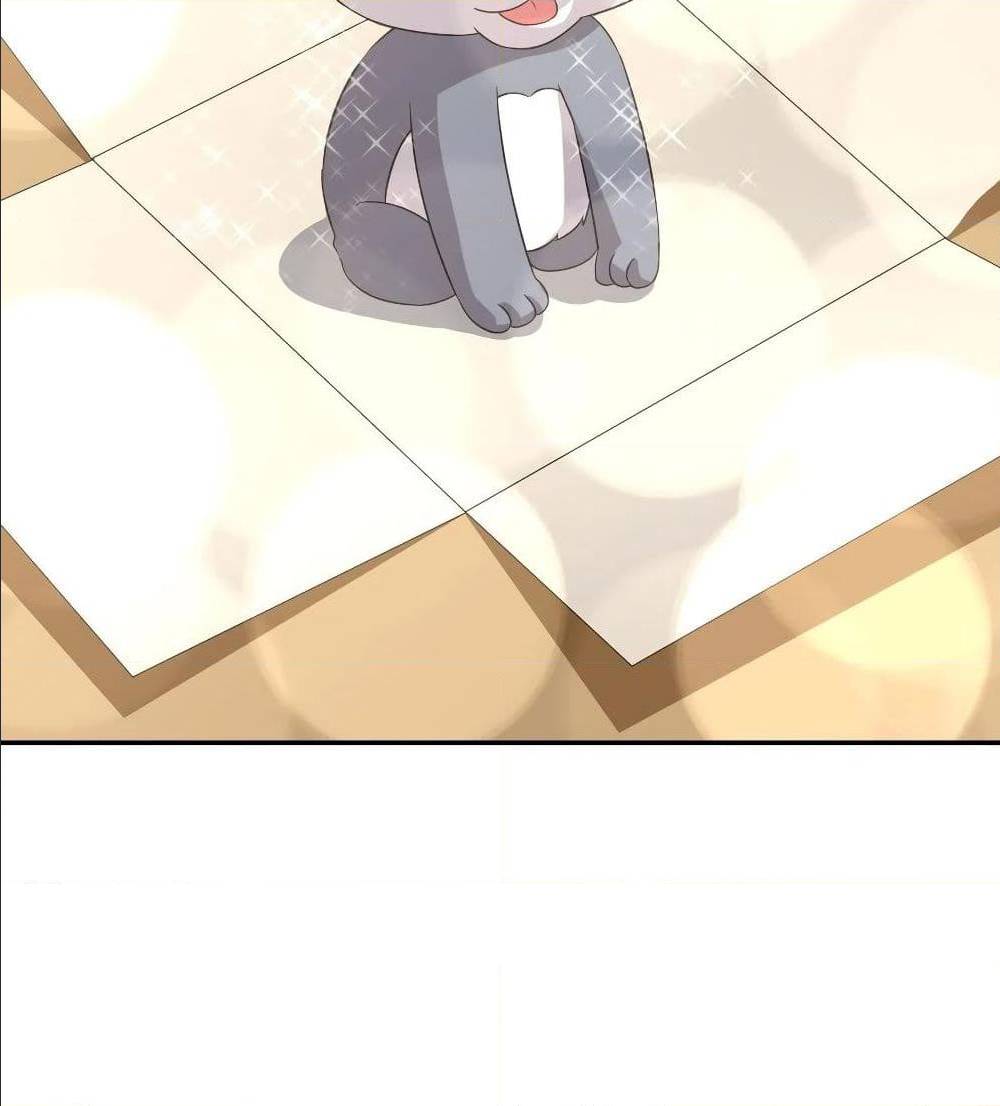 100548063.jpg