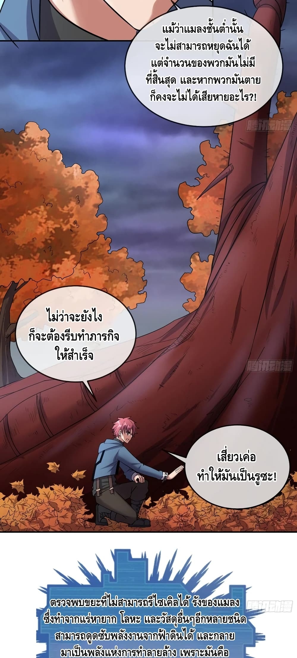 100411534.jpg