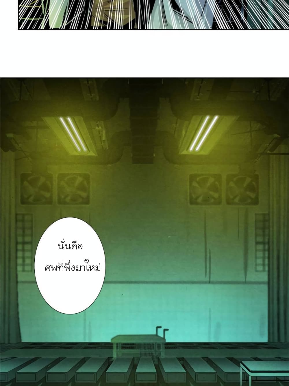 100044491.jpg