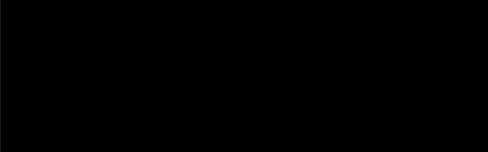 100061103.jpg