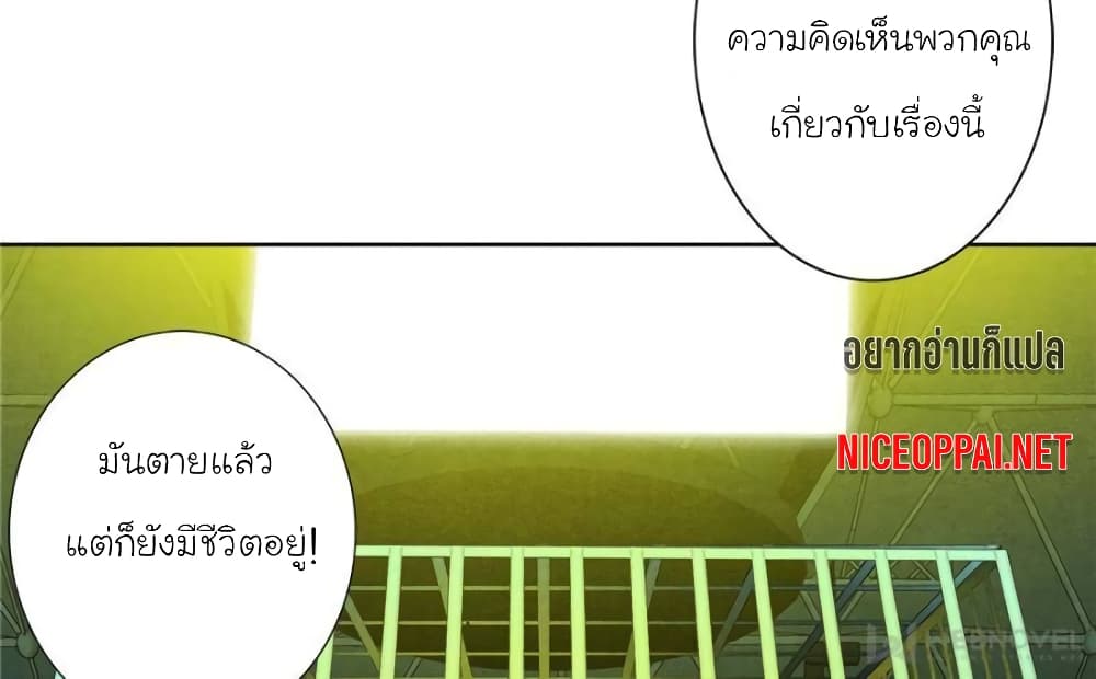 100071153.jpg