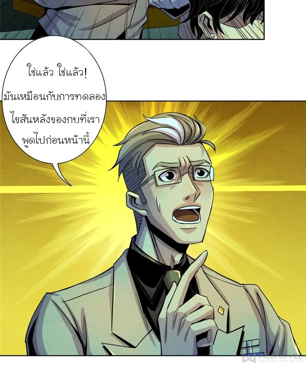 100082900.jpg