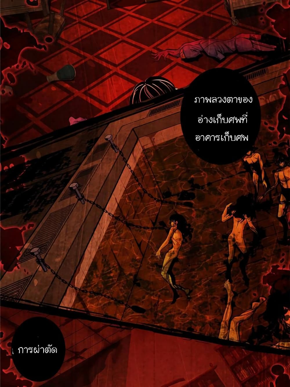 100097111.jpg