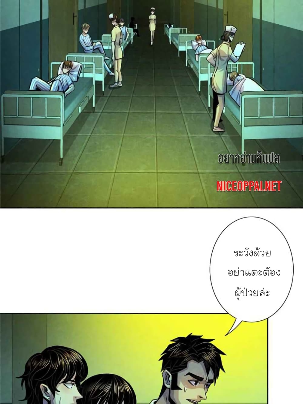 100141281.jpg