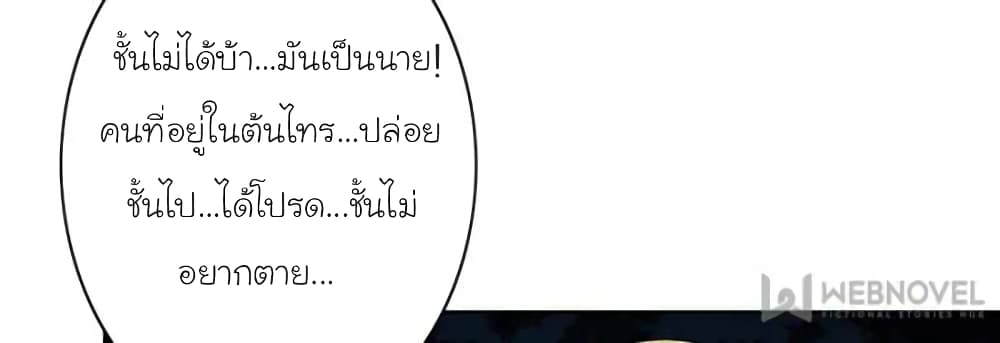 100141505.jpg