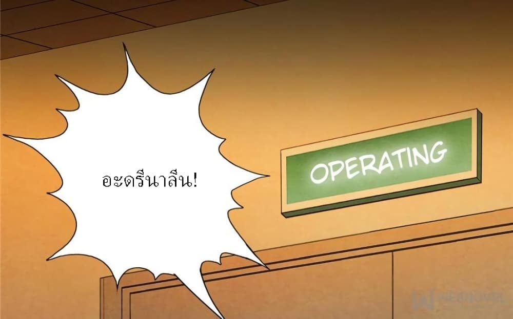 100154212.jpg