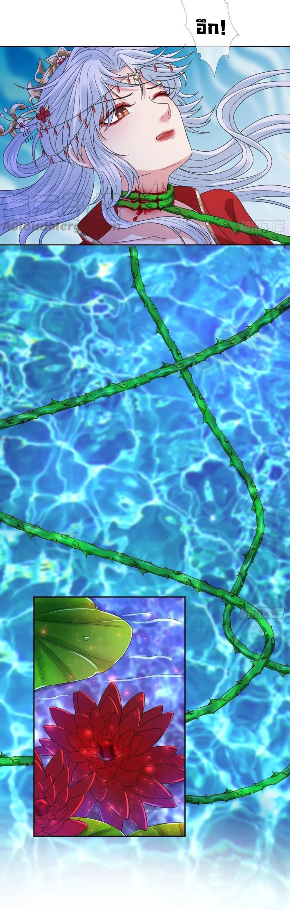 200372557.jpg