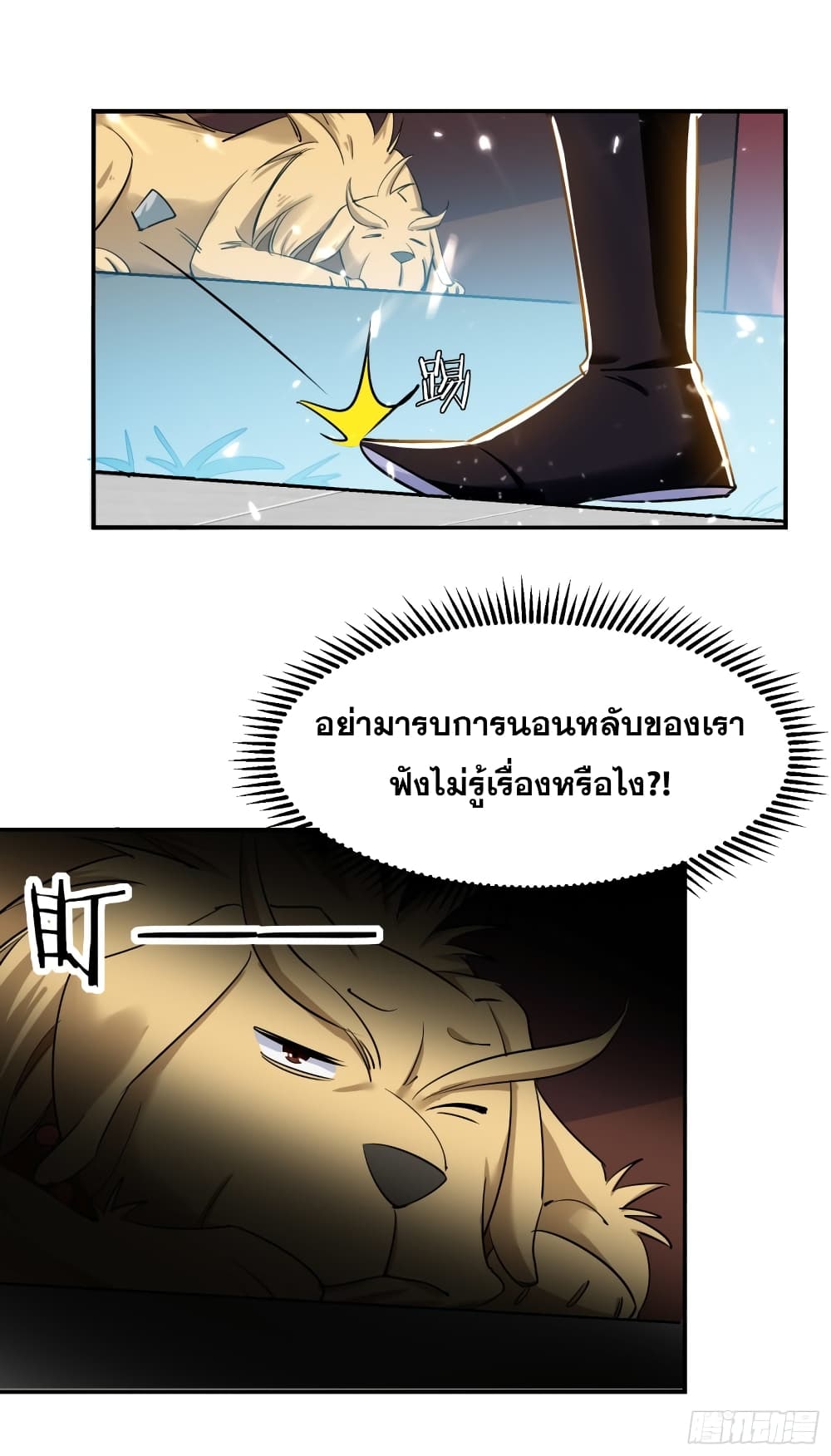 100629235.jpg