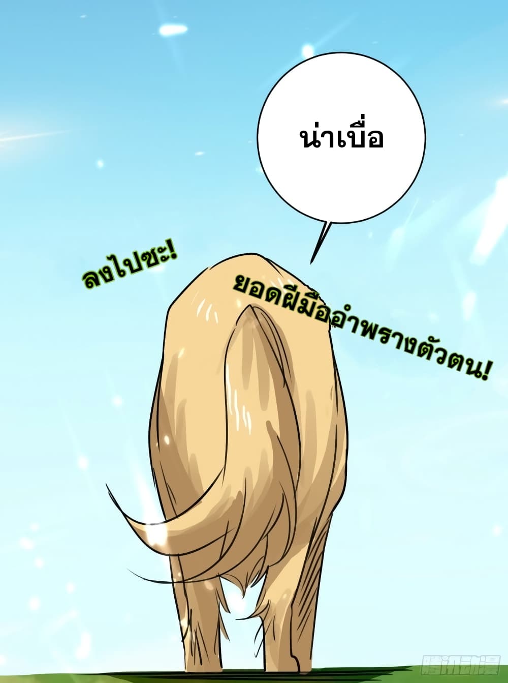100661435.jpg