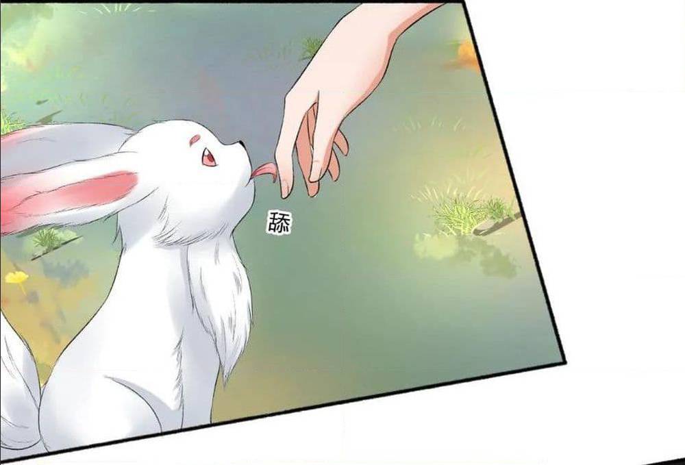 100855026.jpg