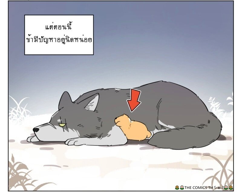 200041479.jpg