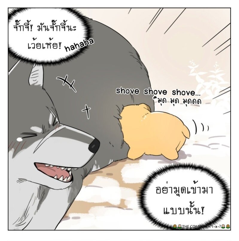 200041639.jpg