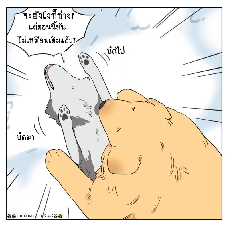 200042312.jpg