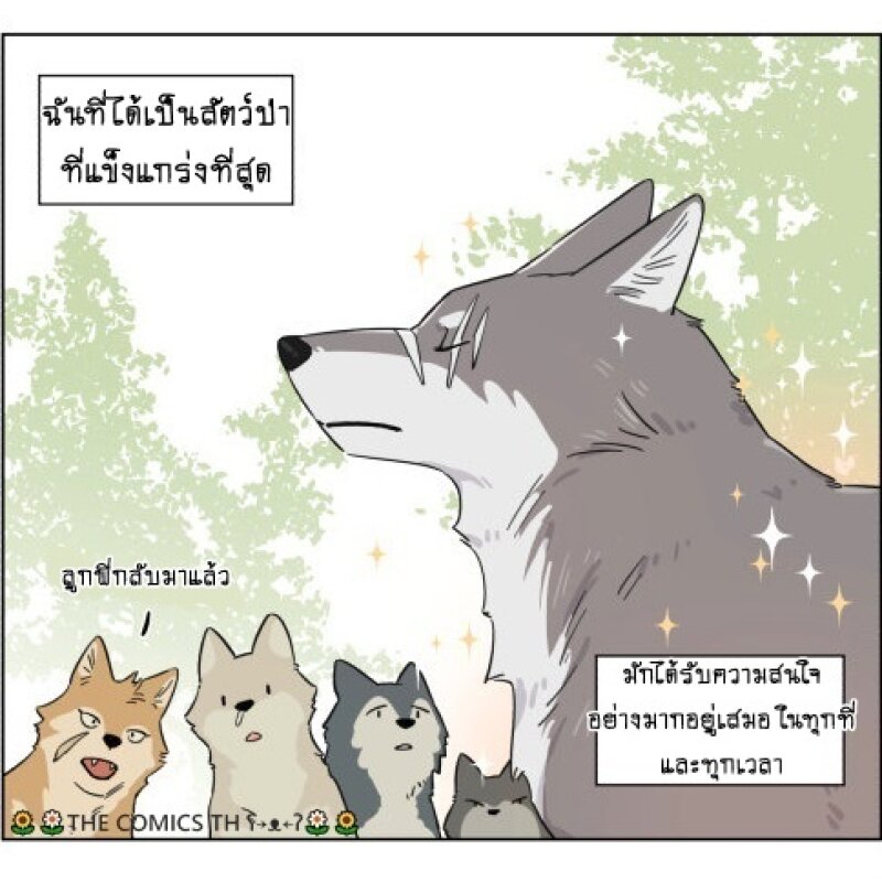 200043753.jpg