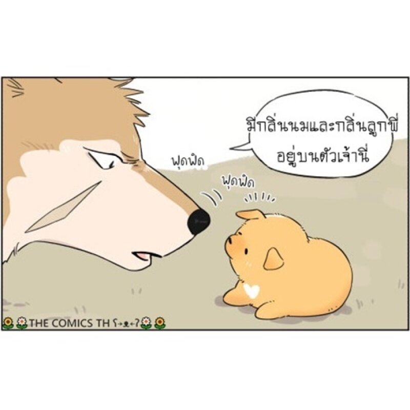 200043913.jpg