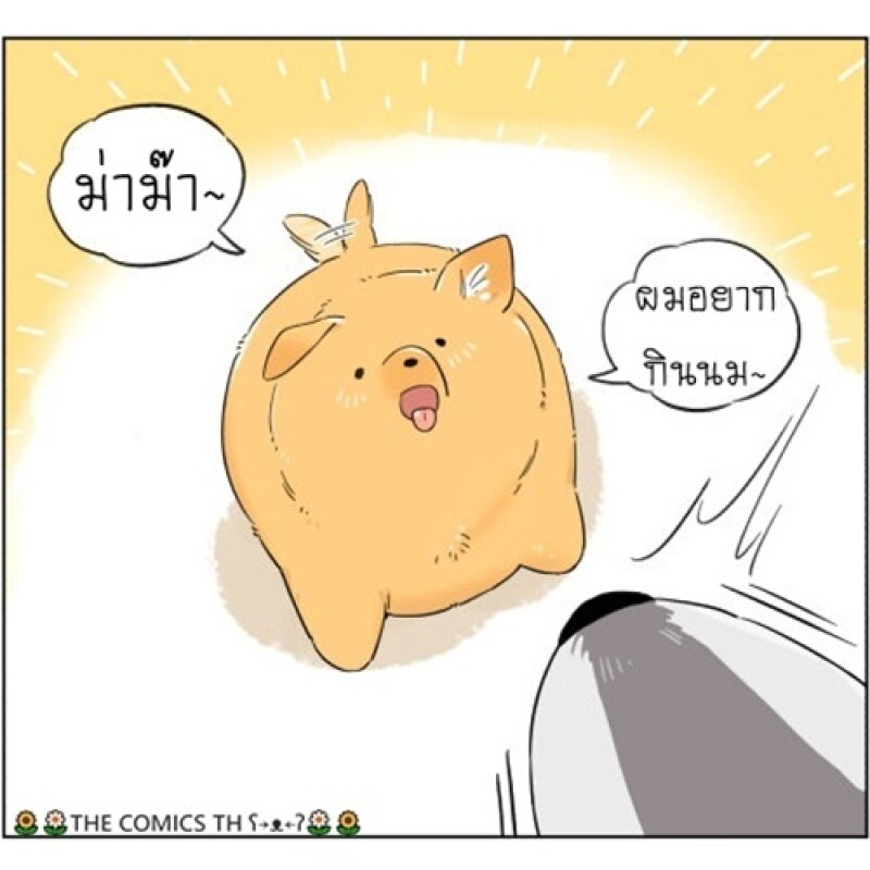 200044041.jpg