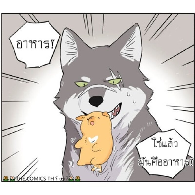 200044169.jpg