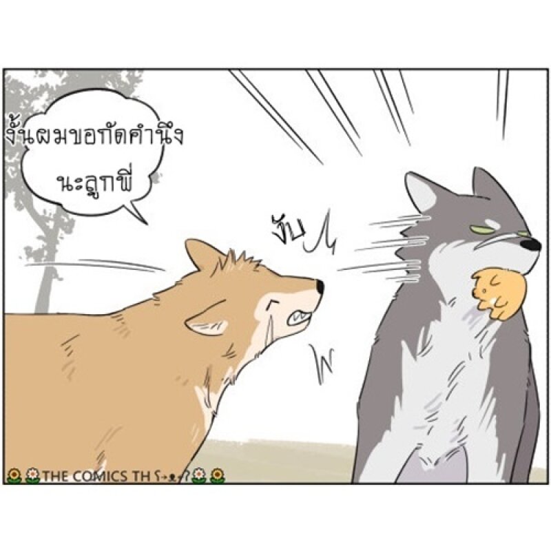 200044201.jpg