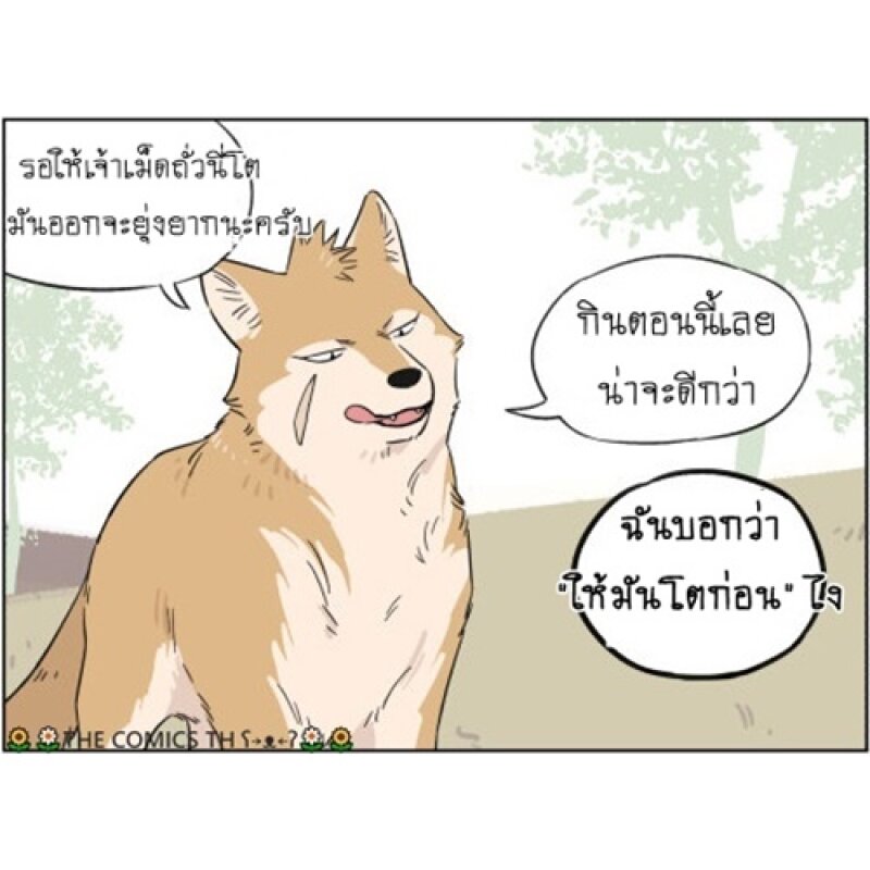 200044265.jpg