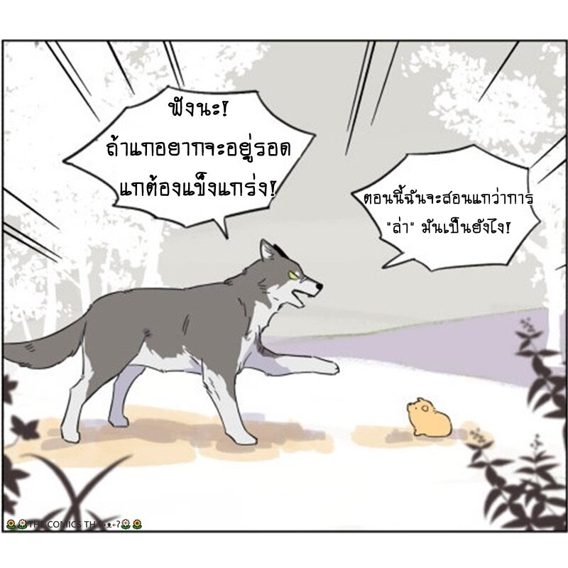 200043081.jpg