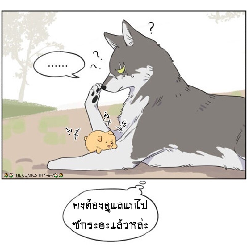 200043337.jpg