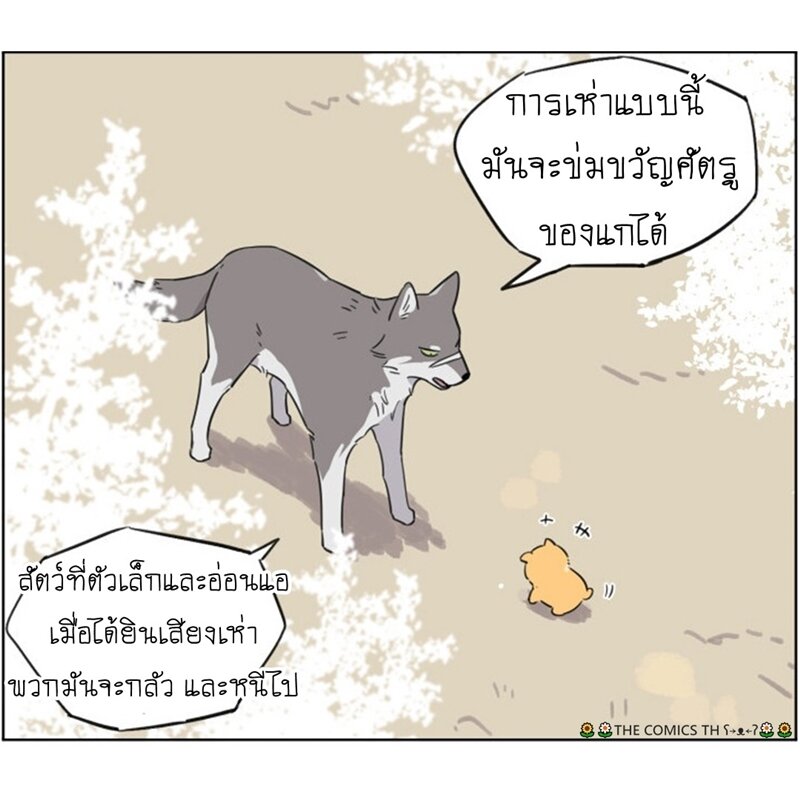 200045740.jpg