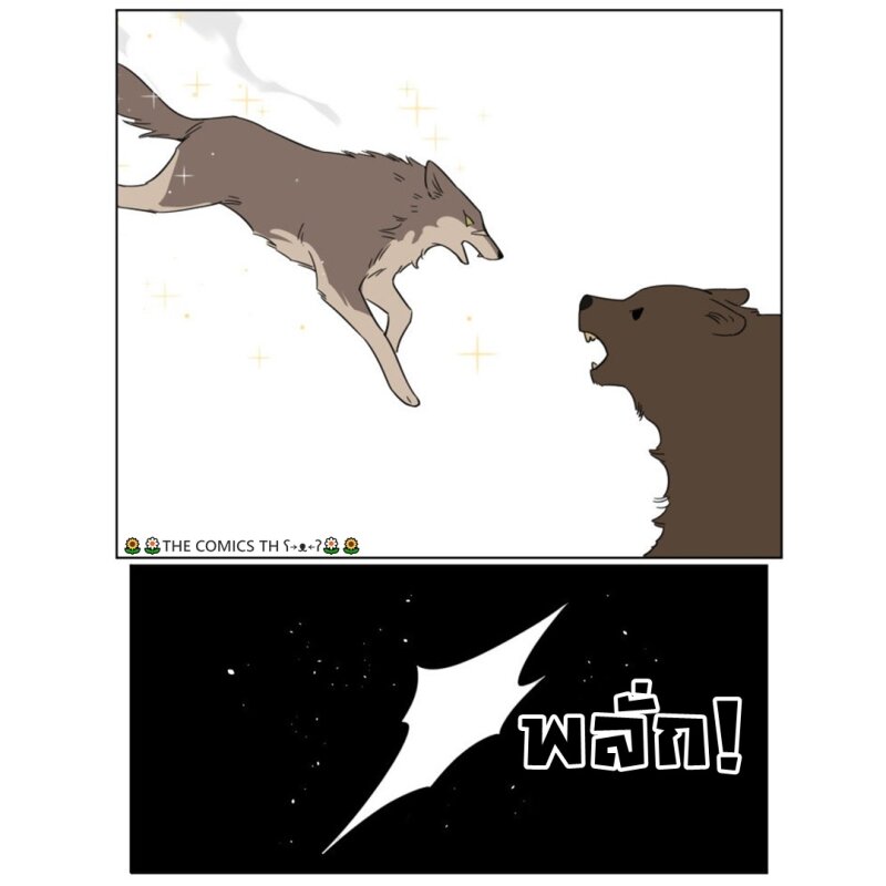 200047821.jpg