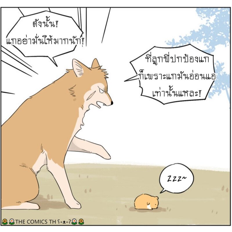 200047949.jpg