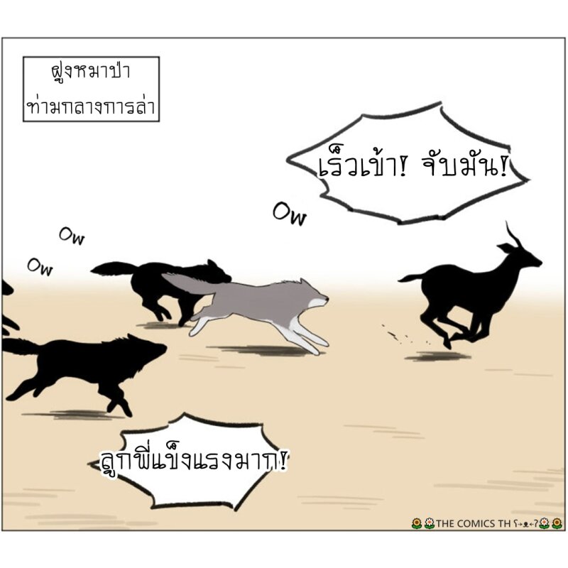 200046733.jpg