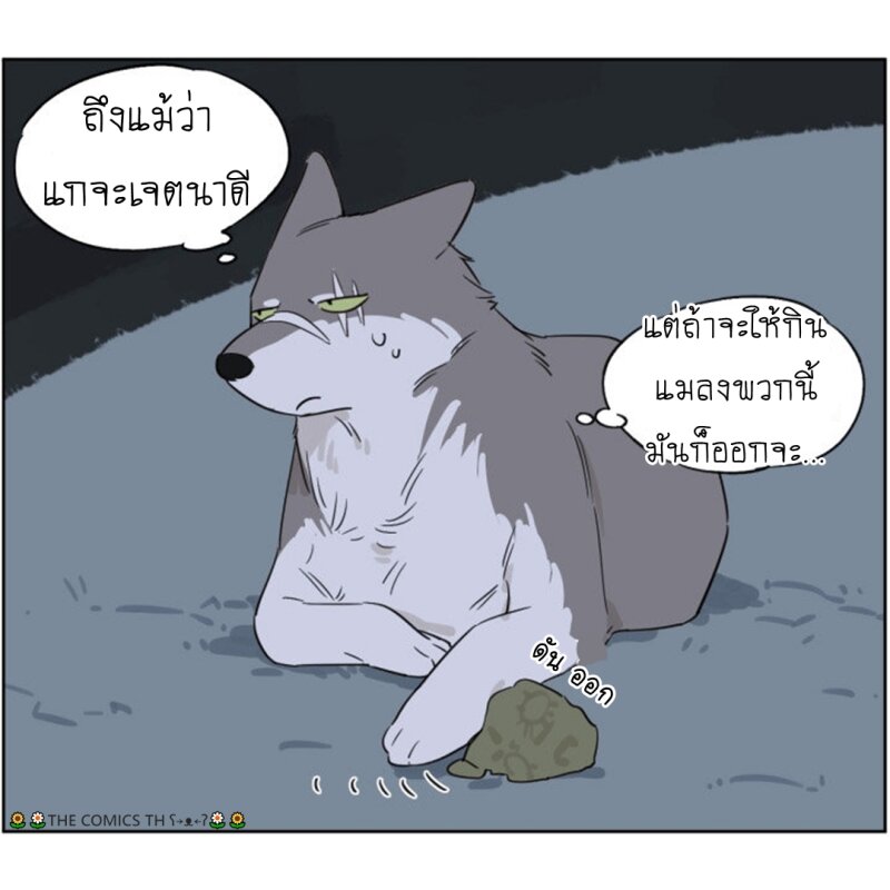 200049007.jpg