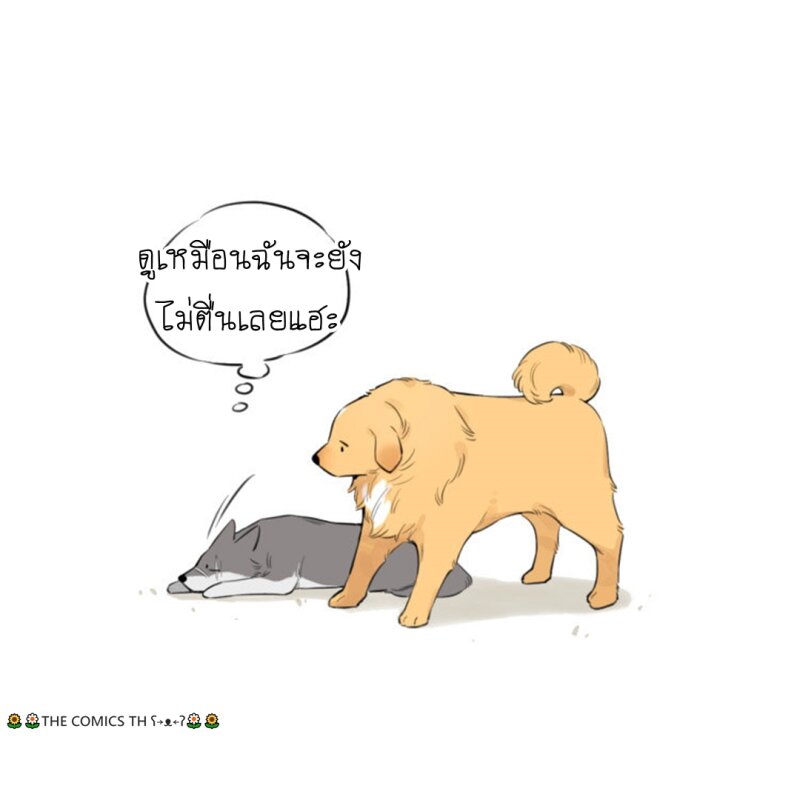 200050160.jpg