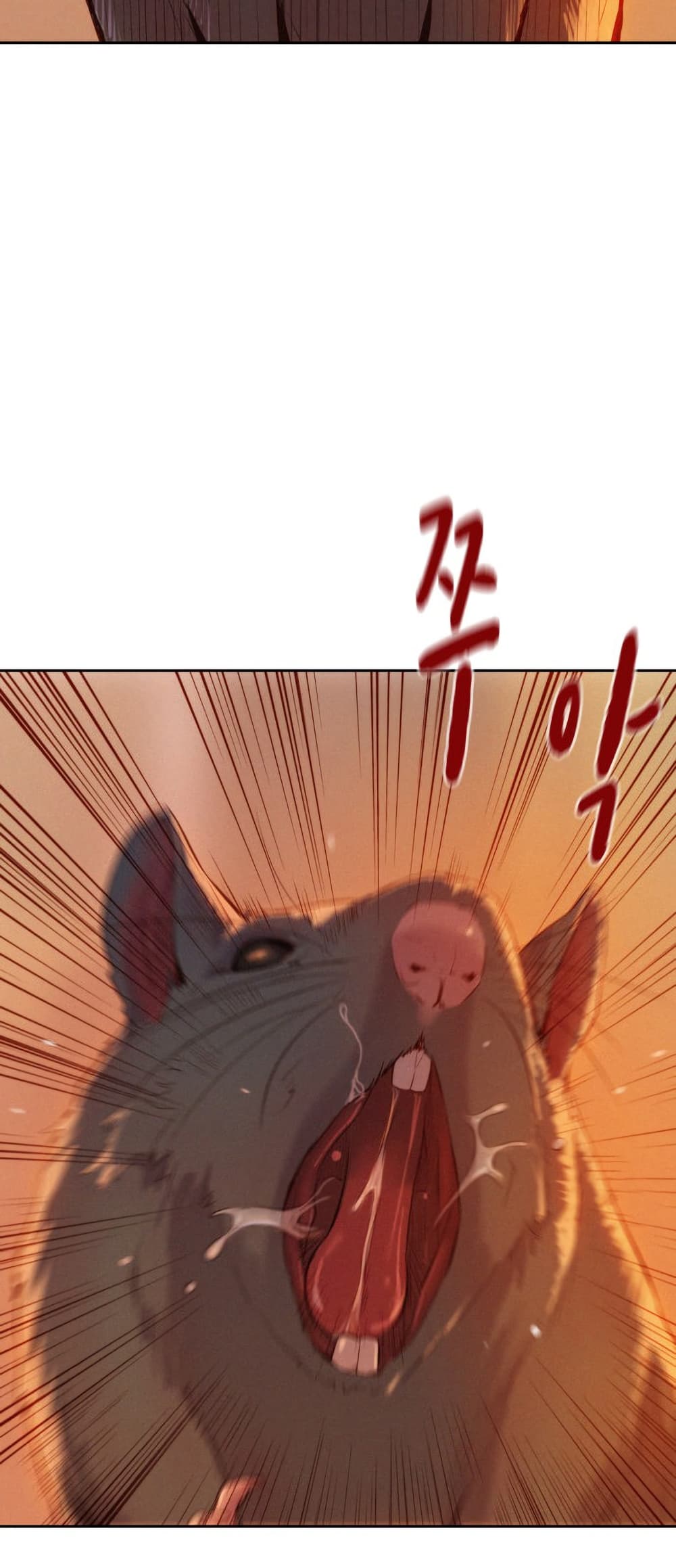 2500192066.jpg
