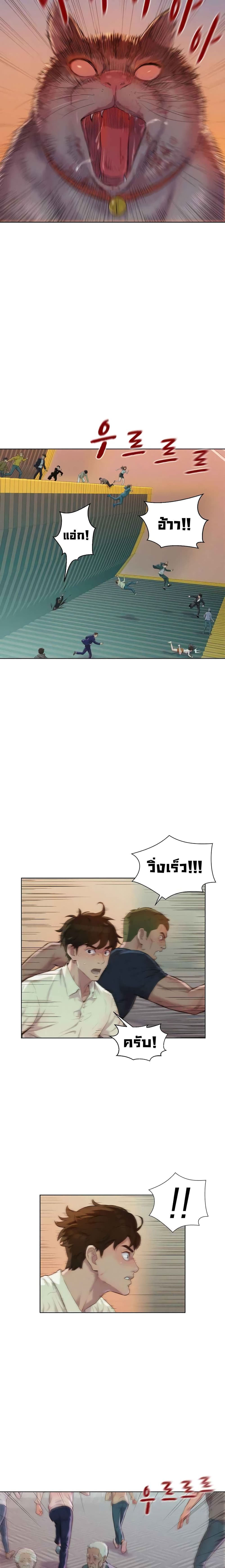 2500213415.jpg